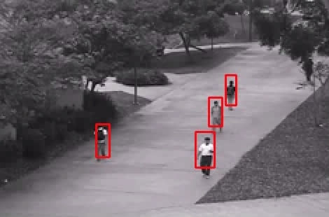 Tính năng object tracking