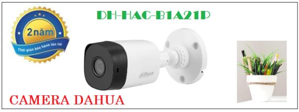 DH-HAC-B1A21P-768x576-1